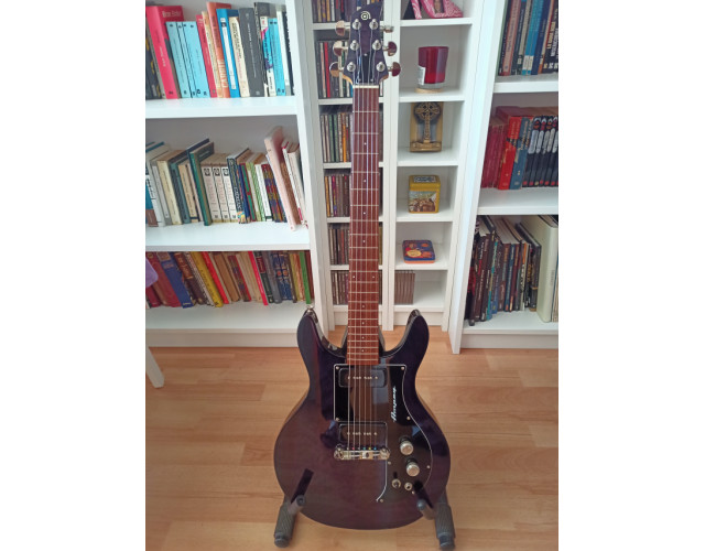 Ampeg amg1 (o cambio)