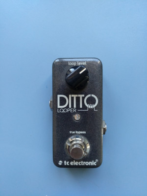 Ditto Looper TC Electronic
