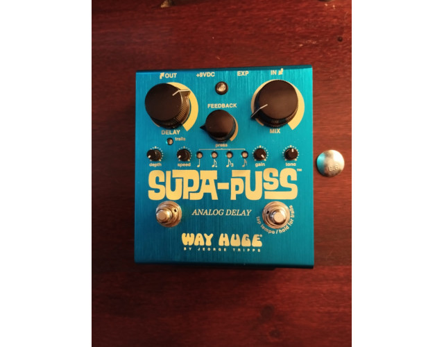 Way Huge Supa Puss analog delay