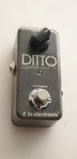 Ditto looper TC Electronics