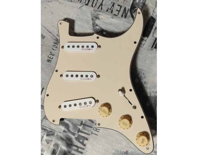 Kinman precableado pickguard