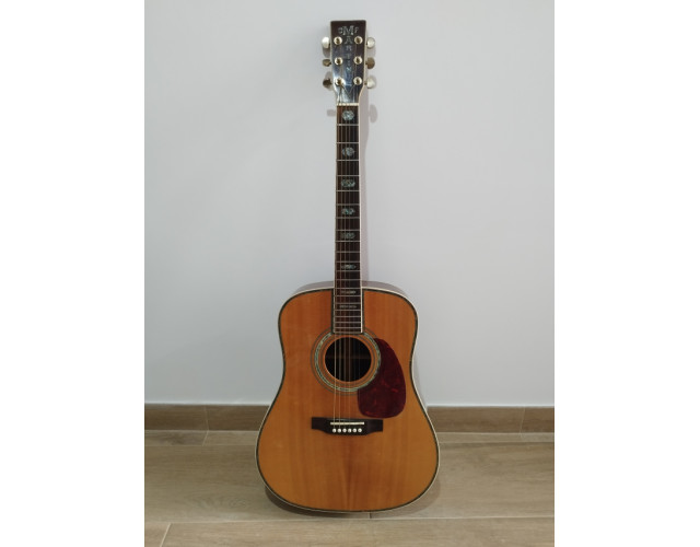 Martin D-45 1971