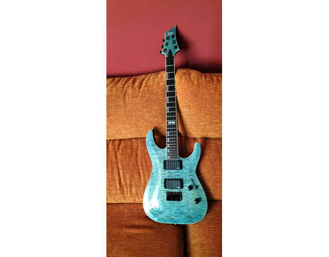 Esp ltd horizon 401qm limited