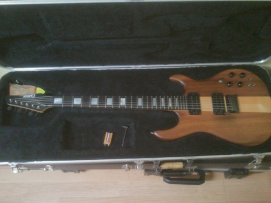 Carvin DC 200