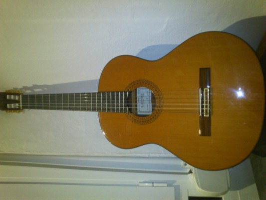 Vendo Guitarra Alhambra 6P