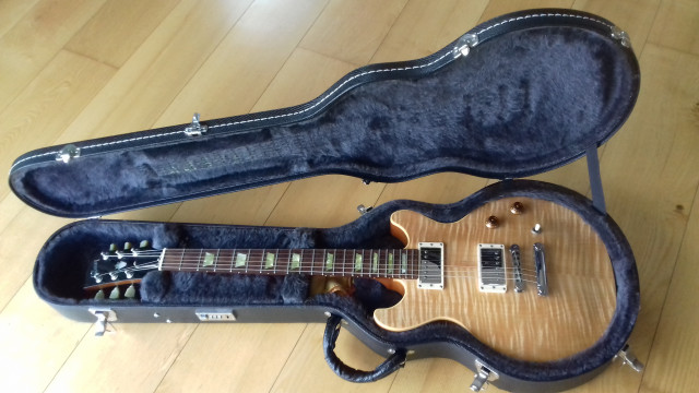 Gibson Les Paul dc pro.
