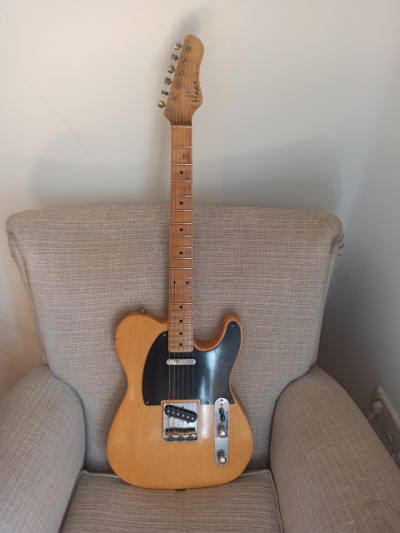 Telecaster Haar Traditional T