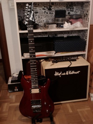 Vendo: Ibanez JS100 (modelo Joe Satriani) "Hipervitaminada"
