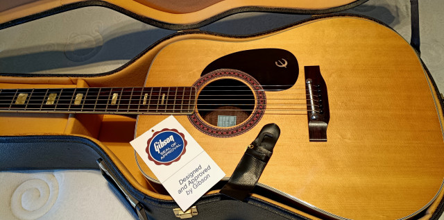 Guitarra Acústica Epiphone FT-150 Bard