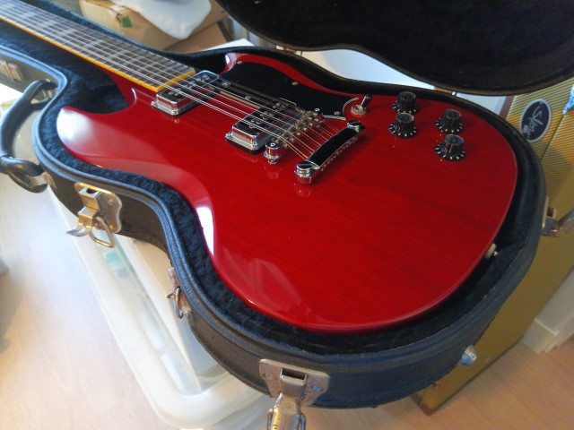 Guitarra 12 cuerdas - Dearmond S73