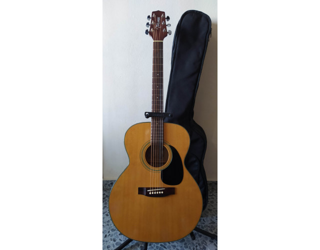 Guitarra acústica Takamine G-230