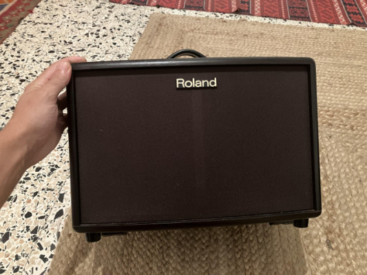 ROLAND AC-60