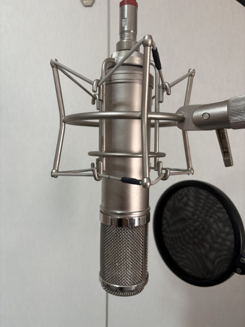 Peluso 22 251
