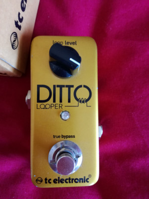 TC Electronic DITTO deluxe Gold Limited Edition //RESERVADO//