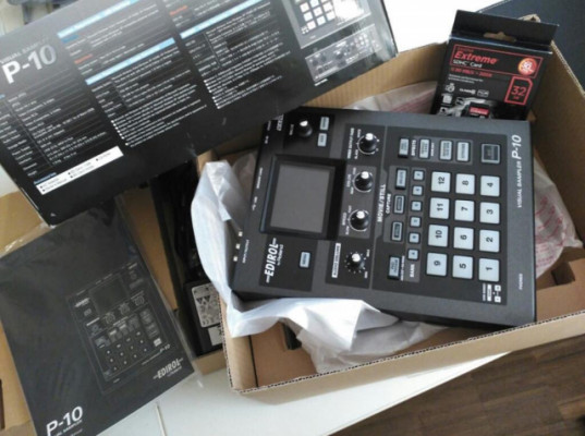 visual sampler P-10 Roland