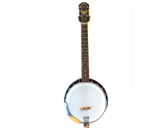 Banjo de 6 cuerdas