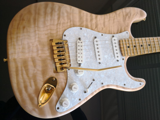 Cambio guitarra WARMOTH