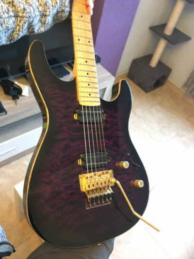 Carvin C66 Special Order