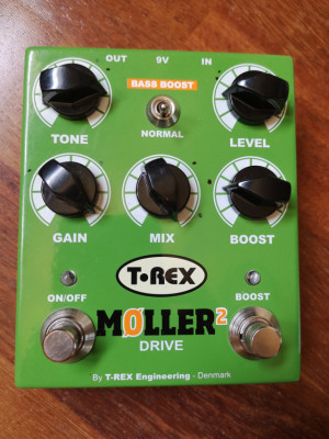 T Rex Moller 2