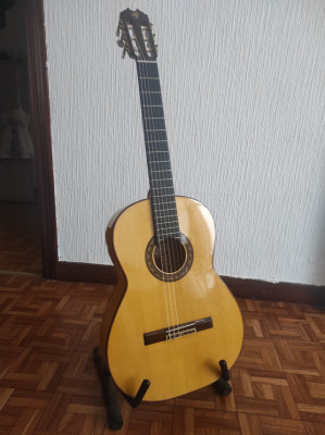 Guitarra flamenca: Prudencio Saez 22