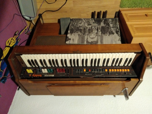 Organo Buddy Z/S con mueble