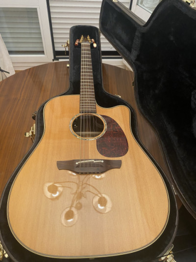 Takamine Tan 16c