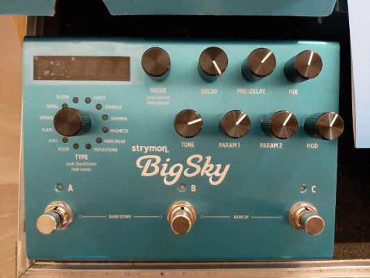 Strymon bigsky