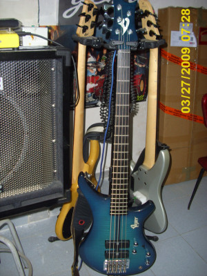 Bajo 5 cuerdas Vigier Pasión serie 3 de segunda mano por 2650 € en Jaén |  Guitarristas.info