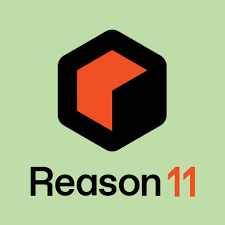 _________REASON 11