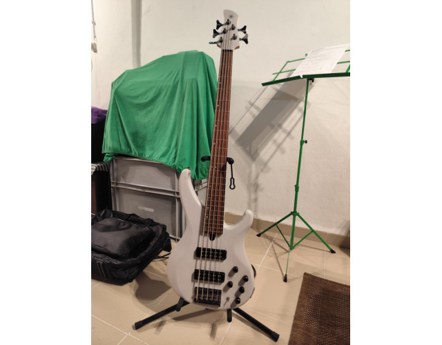Bajo Yamaha TRBX 505