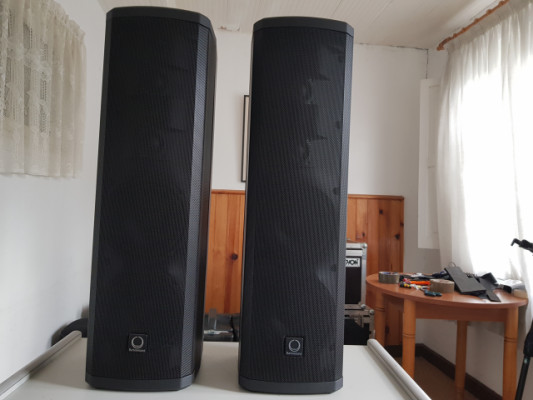 2 Turbosound IP300 + 2 Gator Tote IP300