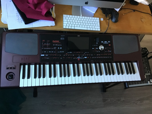 KORG PA 1000