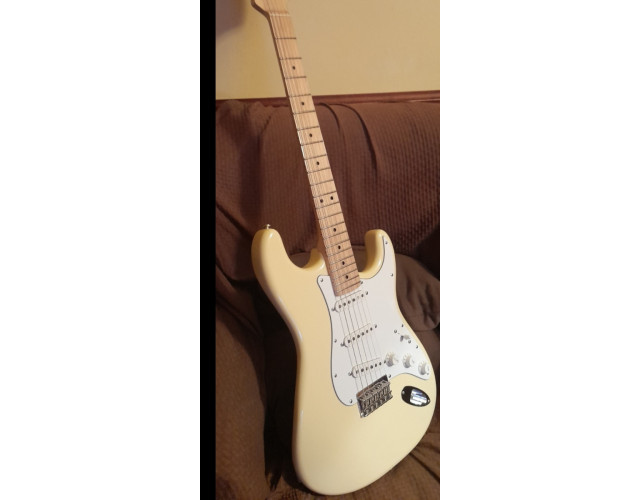 69 Stratocaster (Partcaster)