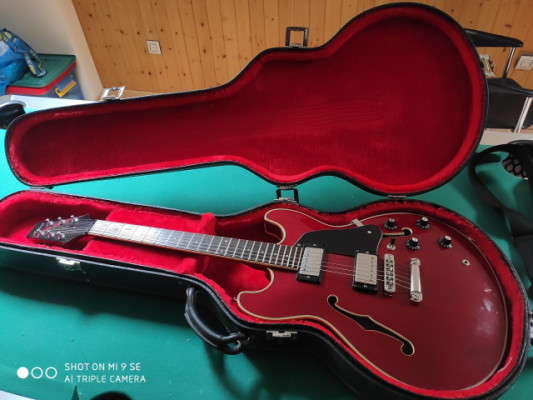 vendo o Cambio: Guitarra Aria Pro II 335