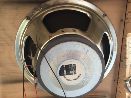 Cambio 2 Celestion g12-t75 por 2 Vintage 30