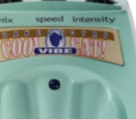 Danelectro Cool Cat Vibe