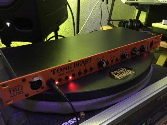 Warm Audio TB12 Tone Beast