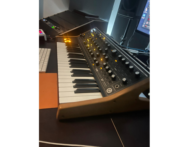 Moog Subsequent 37 en perfecto estado