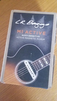 Pastilla guitarra acústica L.R.BAGGS M1
