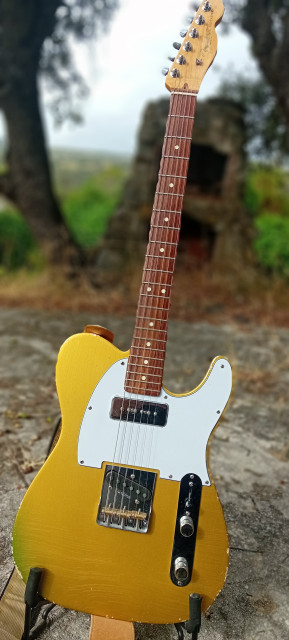 Mástil Fender AmStd Palorrosa 2017. Cambio x diapasón de arce