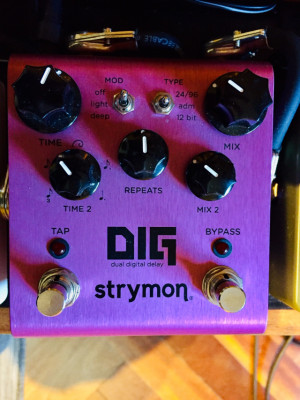 Strymon DIG digital dual delay