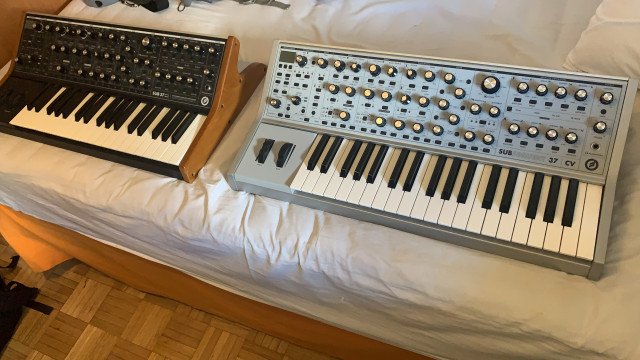 Moog subsequent 37 cv
