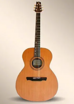 Guitarra Acústica Alhambra A-2 AUD CW (No propongan cambios)