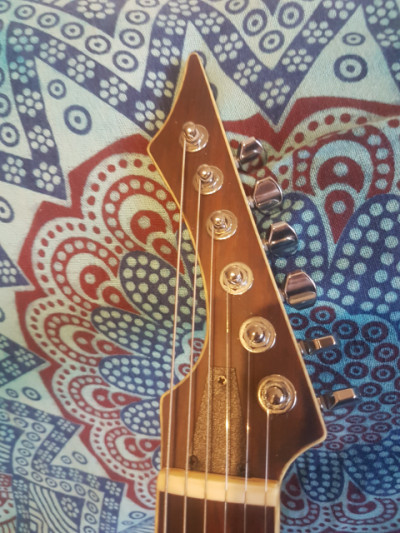 o Cambio guitarra de Luthier tipo Blackmachine
