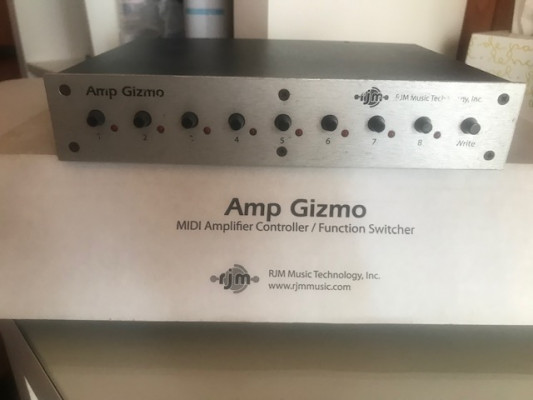 RJM Amp Gizmo