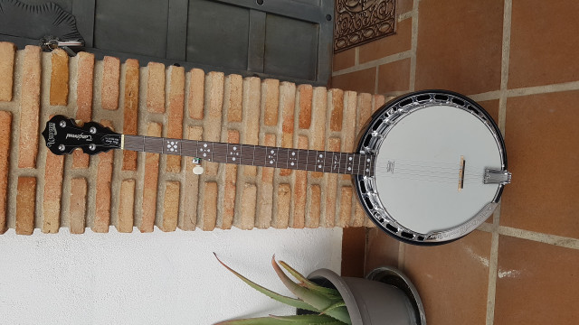 Banjo de 5 cuerdas