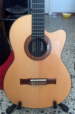 Vintage Guitar Scene: 1982 Gibson Chet Atkins CE nylon string - Whats My  Scene