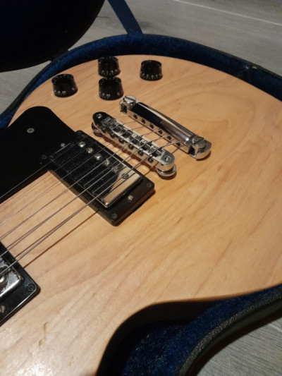 Gibson les Paul raw power.