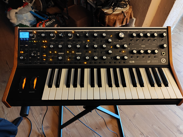 Moog subsequent 37