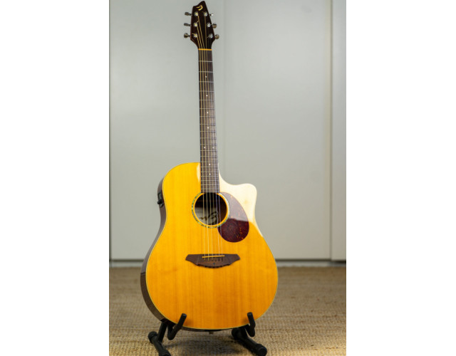 Acustica BREEDLOVE Passport D250/SBe